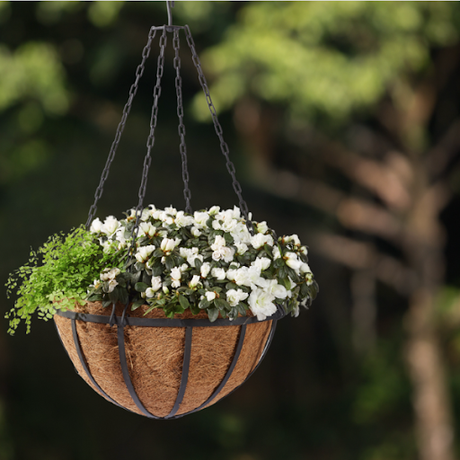 Hanging Basket with White Flowers
