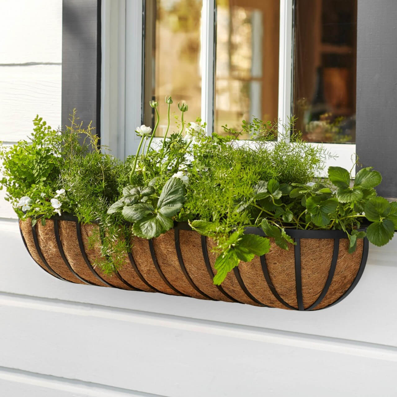A hayrack window box with coco coir liner planted with strawberries and greenery