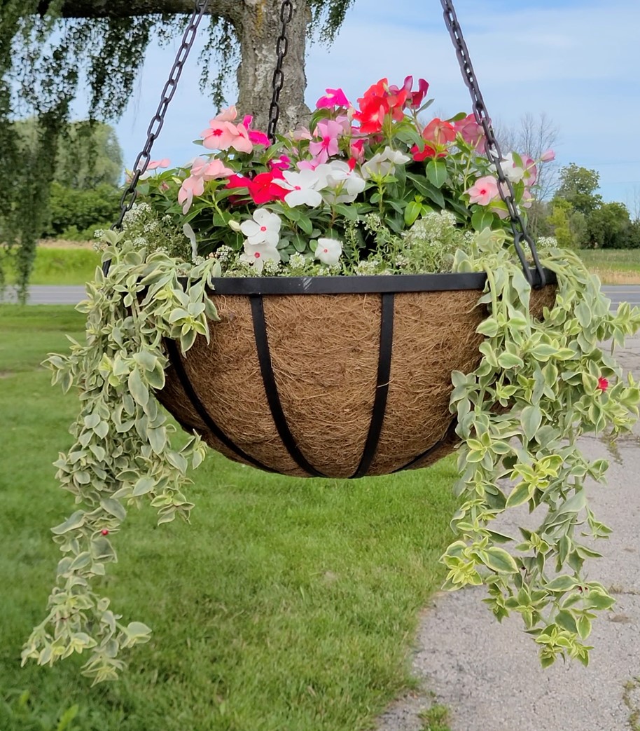 English Garden Hanging Basket