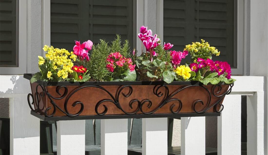 Regalia window box on a white wood railing in front of a home