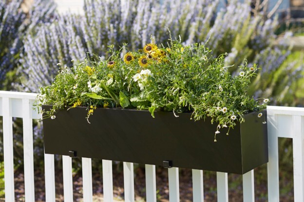 Black Modern window box on a white rail planted with assorted flowering plants