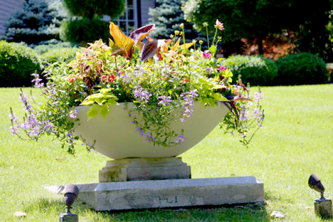 Low bowl planter planted with multi color flowers and plants on a lawn